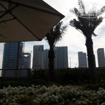 фото из отзыва ID 1903189