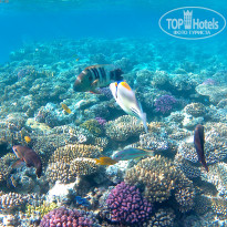 фото из отзыва ID 1903238