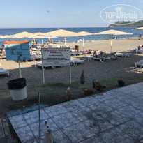 фото из отзыва ID 1903259