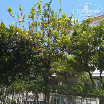 фото из отзыва ID 1903269