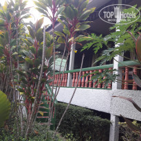 фото из отзыва ID 1903261