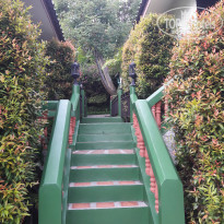 фото из отзыва ID 1903261