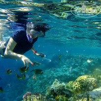 фото из отзыва ID 1903338