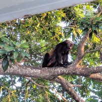 фото из отзыва ID 1903362