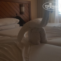 фото из отзыва ID 1903384