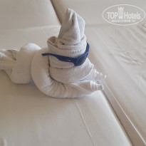 фото из отзыва ID 1903384