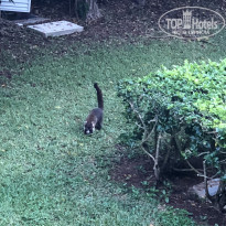 фото из отзыва ID 1903430