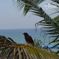 фото из отзыва ID 1903327