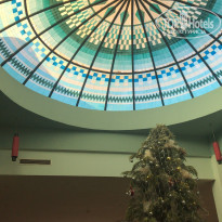 фото из отзыва ID 1903446