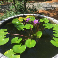 фото из отзыва ID 1903745