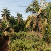 фото из отзыва ID 1903750