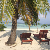 фото из отзыва ID 1903759