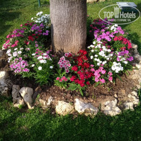 фото из отзыва ID 1903925