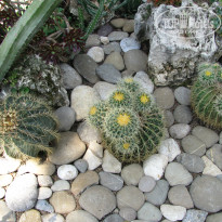 фото из отзыва ID 1903925