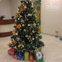 фото из отзыва ID 1903900