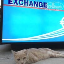 фото из отзыва ID 1904057