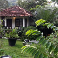 фото из отзыва ID 1904122