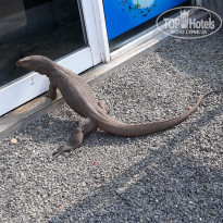 фото из отзыва ID 1904122