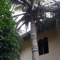 фото из отзыва ID 1904122