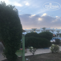 фото из отзыва ID 1904241