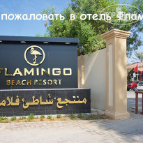 фото из отзыва ID 1904269