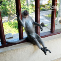 фото из отзыва ID 1904307