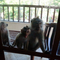 фото из отзыва ID 1904307