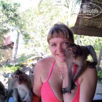 фото из отзыва ID 1904307