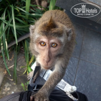 фото из отзыва ID 1904307