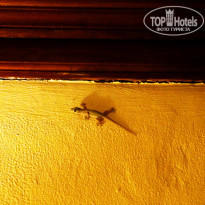 фото из отзыва ID 1904307