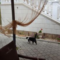 фото из отзыва ID 1904301