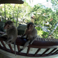 фото из отзыва ID 1904307