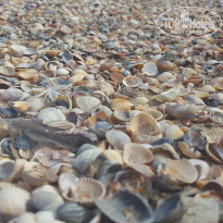 фото из отзыва ID 1904335