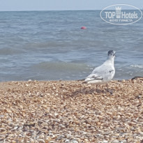 фото из отзыва ID 1904335