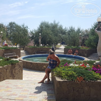 фото из отзыва ID 1904335