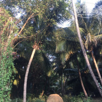 фото из отзыва ID 1904462