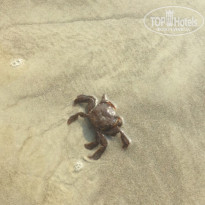 фото из отзыва ID 1904462