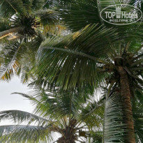 фото из отзыва ID 1904462