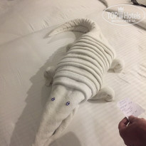 фото из отзыва ID 1904462