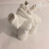 фото из отзыва ID 1904462