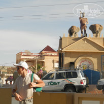 фото из отзыва ID 1904689