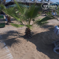 фото из отзыва ID 1904730