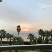 фото из отзыва ID 1904906