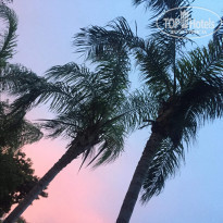 фото из отзыва ID 1905147