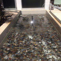 фото из отзыва ID 1905147