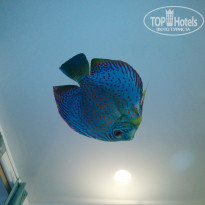 фото из отзыва ID 1905366