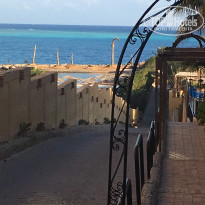 фото из отзыва ID 1905133