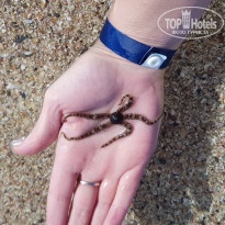 фото из отзыва ID 1905656