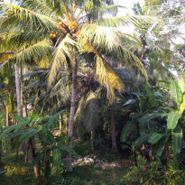 фото из отзыва ID 1905670