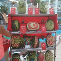 фото из отзыва ID 1905748